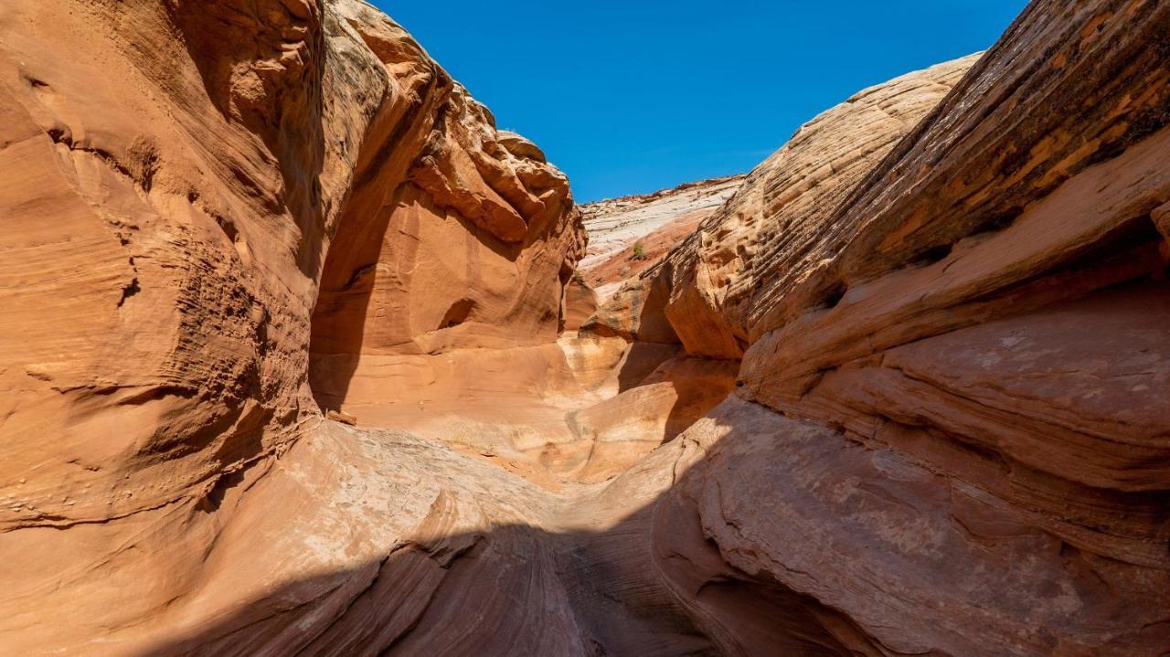 Under Canvas Lake Powell-Grand Staircase 比格沃特 外观 照片